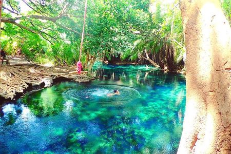 Materuni Waterfalls, coffee tour & Kikuletwa Hot Springs