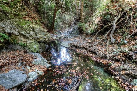 Troodos Jeep Safari from Protaras,Ayia napa & Larnaca