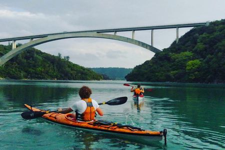 Kayak Mangroves or Coral Reef: private tour in north Okinawa 