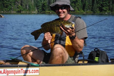3 Hour Algonquin Park Bass & Trout Fishing (private- price is for 1 or 2 people)