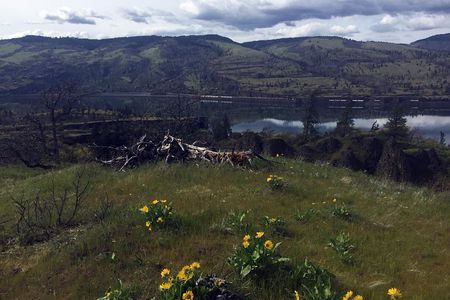 Full-day Columbia Gorge Hiking