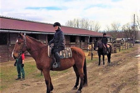 Private Horse Riding in the countryside and lunch with transport