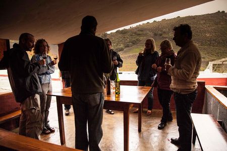Half day to Bandama Caldera, Botanical experience & Wine-Tasting
