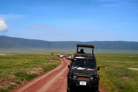 2 days Safari to Lake Manyara and Ngorongoro crater
