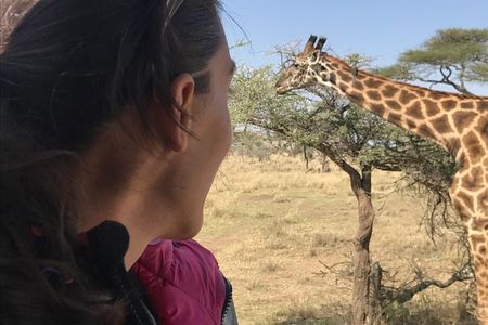 3 days Safari to Tarangire ,Lake Manyara and Ngorongoro crater