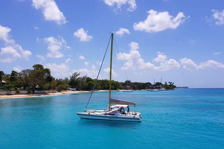 Shasa private catamran sailing cruise, Snorkel with turtles. 