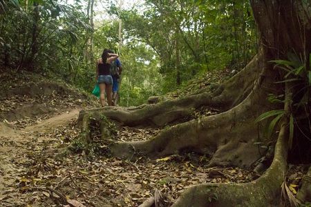 Tayrona National Park - Trek to Cabo San Juan 