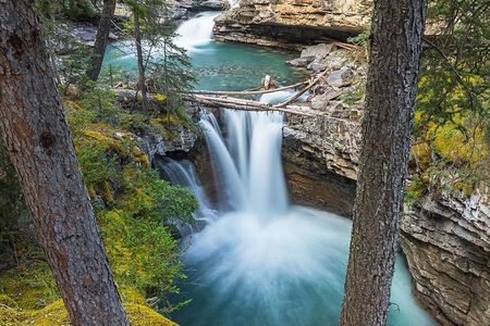 Hop-On and Hop-Off Banff Bus