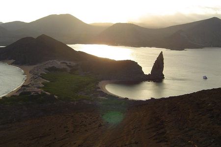 4- or 5-Day Galapagos Islands Explorer Package from Santa Cruz Island