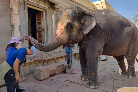 Private guided tour of must visit places in Karnataka in a week