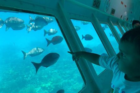 Glass Bottom Boat Tour and West Bay Beach