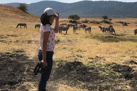 4 days Safari Lake Manyara, Ngorongoro crater and Serengeti