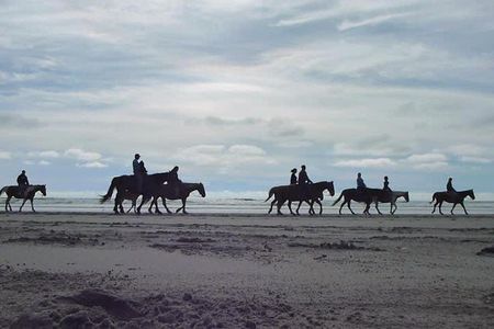 Las cañadas ecopark and horseback riding private tour