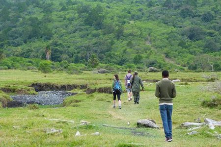 The Amaizing Private Day Trip to the lovely Arusha National Park 