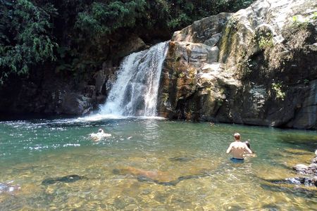 Sinharaja Rainforest Tour