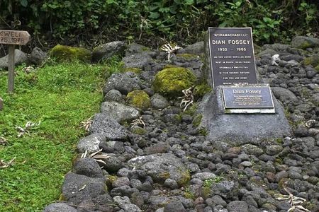 1 Day Dian Fossey Tomb Hike 