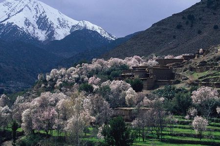 Atlas Mts. +Three Valleys Day Trip from Marrakech (Min. 2 P)