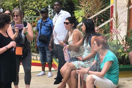 Private & Customize Tour to Bob Marley's Nine Mile and Dunn's River Falls 