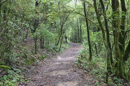 Shivapuri National Park Day Hiking - Budanilkantha, Nagi Gumba, Sundarijal Hike