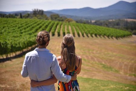 Yarra Valley wine and gin tour with Champagne Lunch at Chandon!
