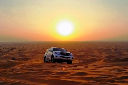 Abu Dhabi Desert Safari 4x4, BBQ Dinner, Camel Ride