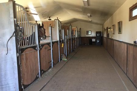 Scottsdale Horseback Riding and Horse Country Estate Tour