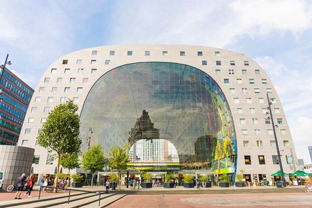 Rotterdam, Delft, the Hague, Madurodam from Amsterdam