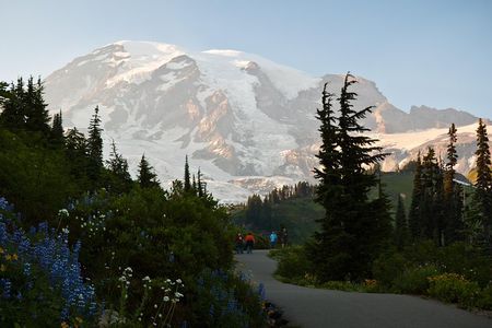 "Best of Mount Rainier National Park" Experience from Seattle