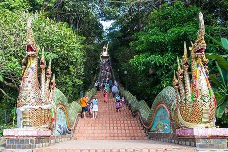 Chiang Mai Iconic Temples and City Tour