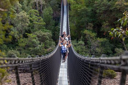 Tahune Airwalk & Hastings Cave Active Day Tour from Hobart