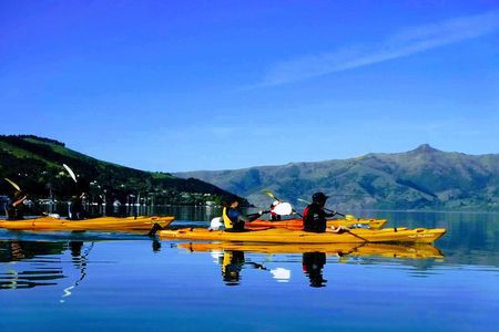 Shore Excursion Guided Sea Kayaking through Akaroa Marine Reserve