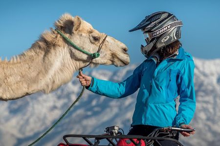 Camel and Quad Biking Tour from Marrakech