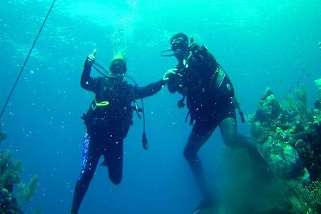 2 Tank Roatan Fun Dive, Boat Sightseeing Tour, including ground transportation