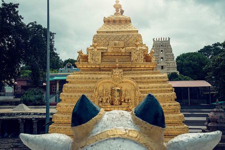 Srisailam Temple full day excursion tour