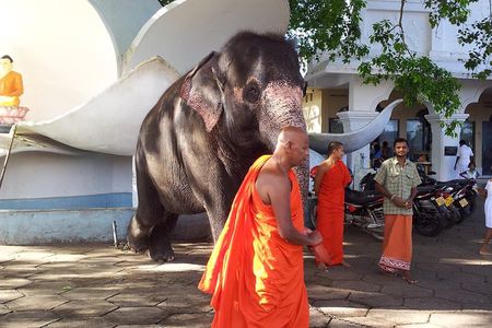 Galle Day Tour