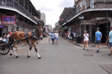 New Orleans French Quarter and More Carriage Ride 