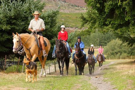 Half Day Walter Peak Horse Trek and Cruise from Queenstown