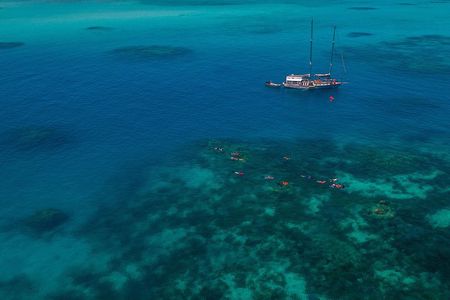 Ocean Free 25 guest Great Barrier Reef & visit Green Island Tour