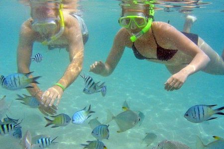 Gold Coast: Kayak & Snorkel Adventure with Marine Life