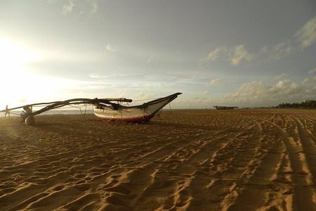 Negombo Day Tour