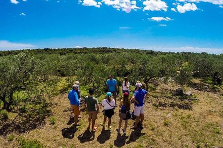 Olive Oil Tour of Solta Island with Lunch
