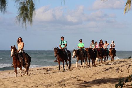 Horseback Riding through Secluded Beaches and Tropical Forests