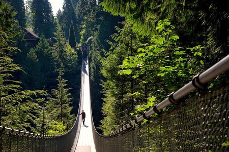 Vancouver Tour: Stanley Park, Granville Island & Capilano Bridge