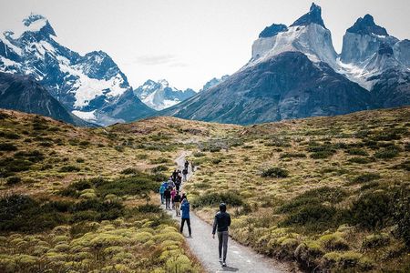 From El Calafate: Full-Day Tour to Torres del Paine