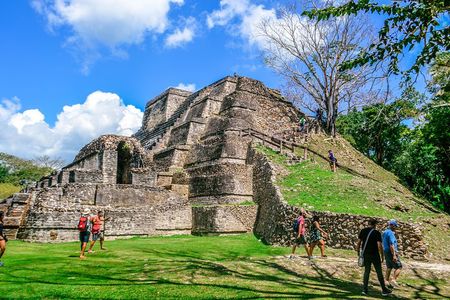 Altun Ha Temple & Howler Monkey Sanctuary