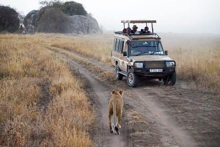 5 Days Safari In Serengeti And Ngorongoro