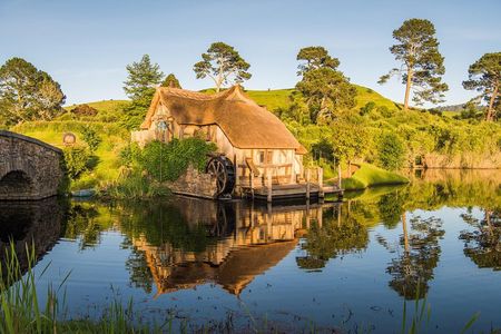 Auckland to Rotorua via Hobbiton Small Group Tour (One Way)
