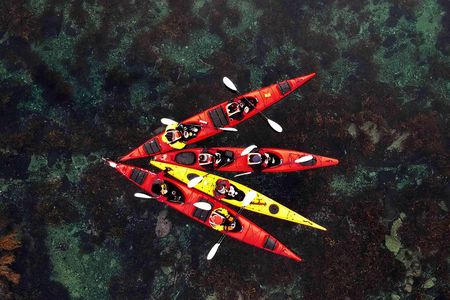 Half Day Kayak - Northern Explores AS