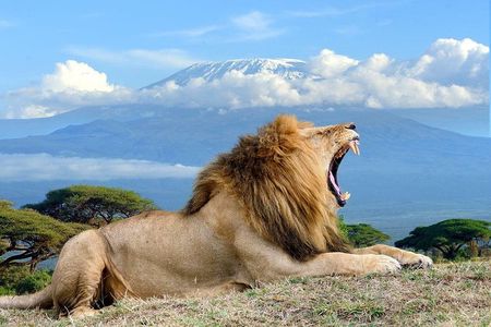 3 days Amboseli, Land of Kilimanjaro