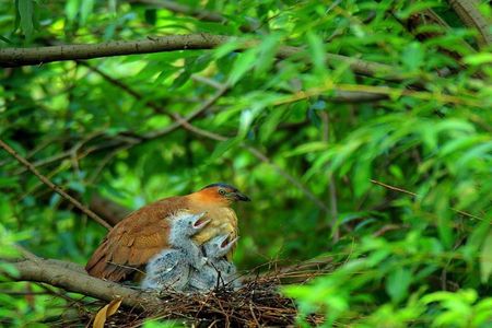 Cuc Phuong National Park Trekking Day Trip